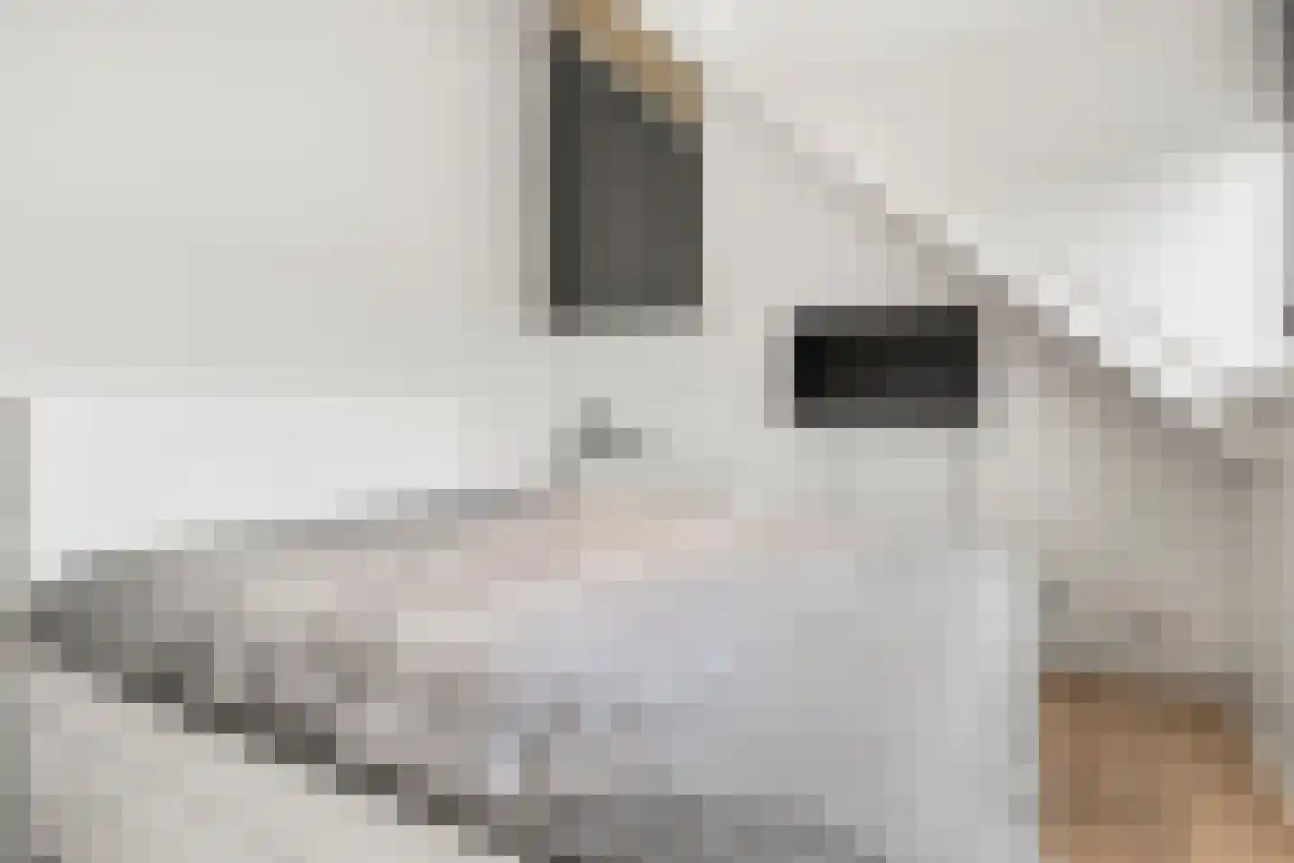 Grietjeshof 16 Bennekom thumbnail 28