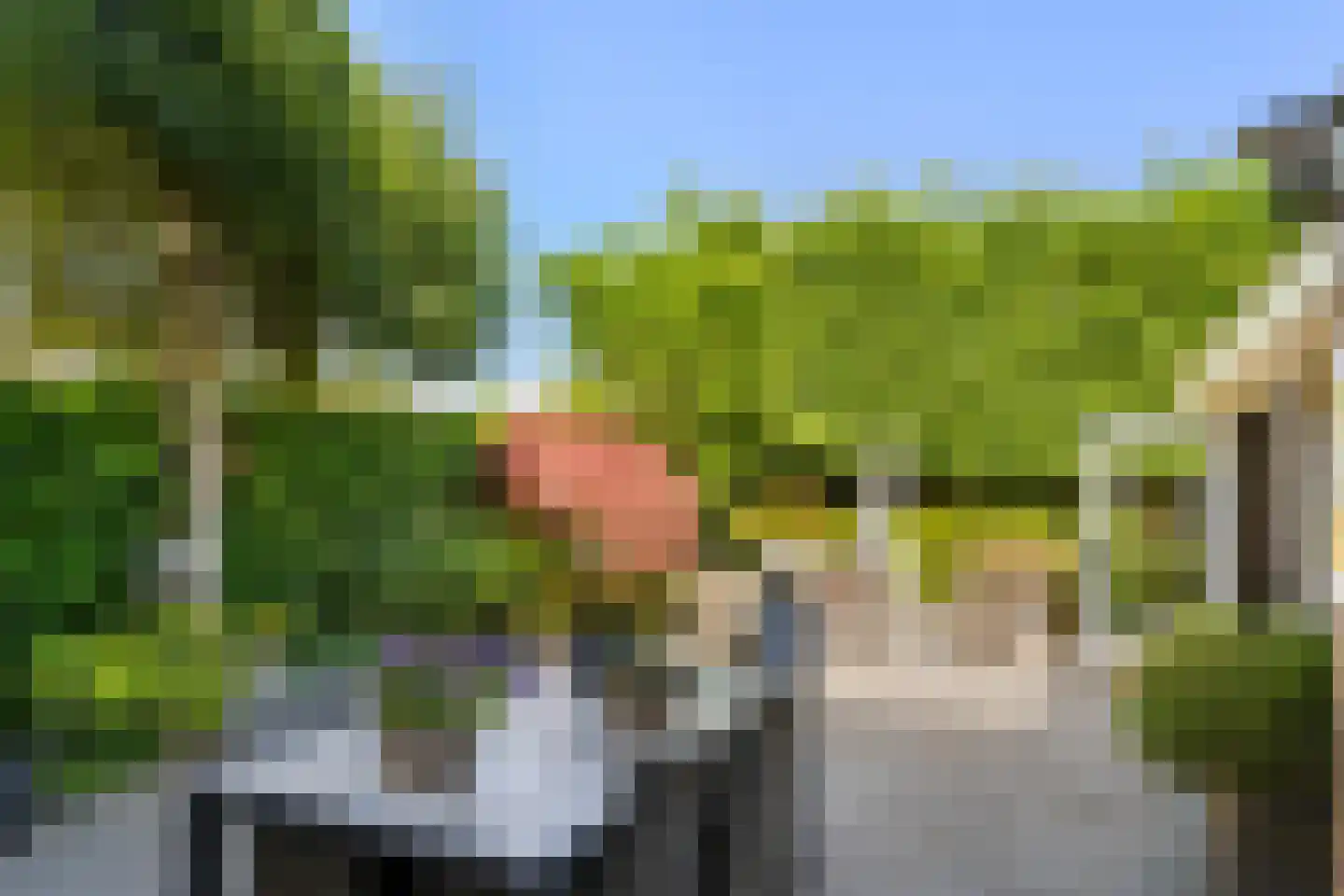 Grietjeshof 16 Bennekom thumbnail 33