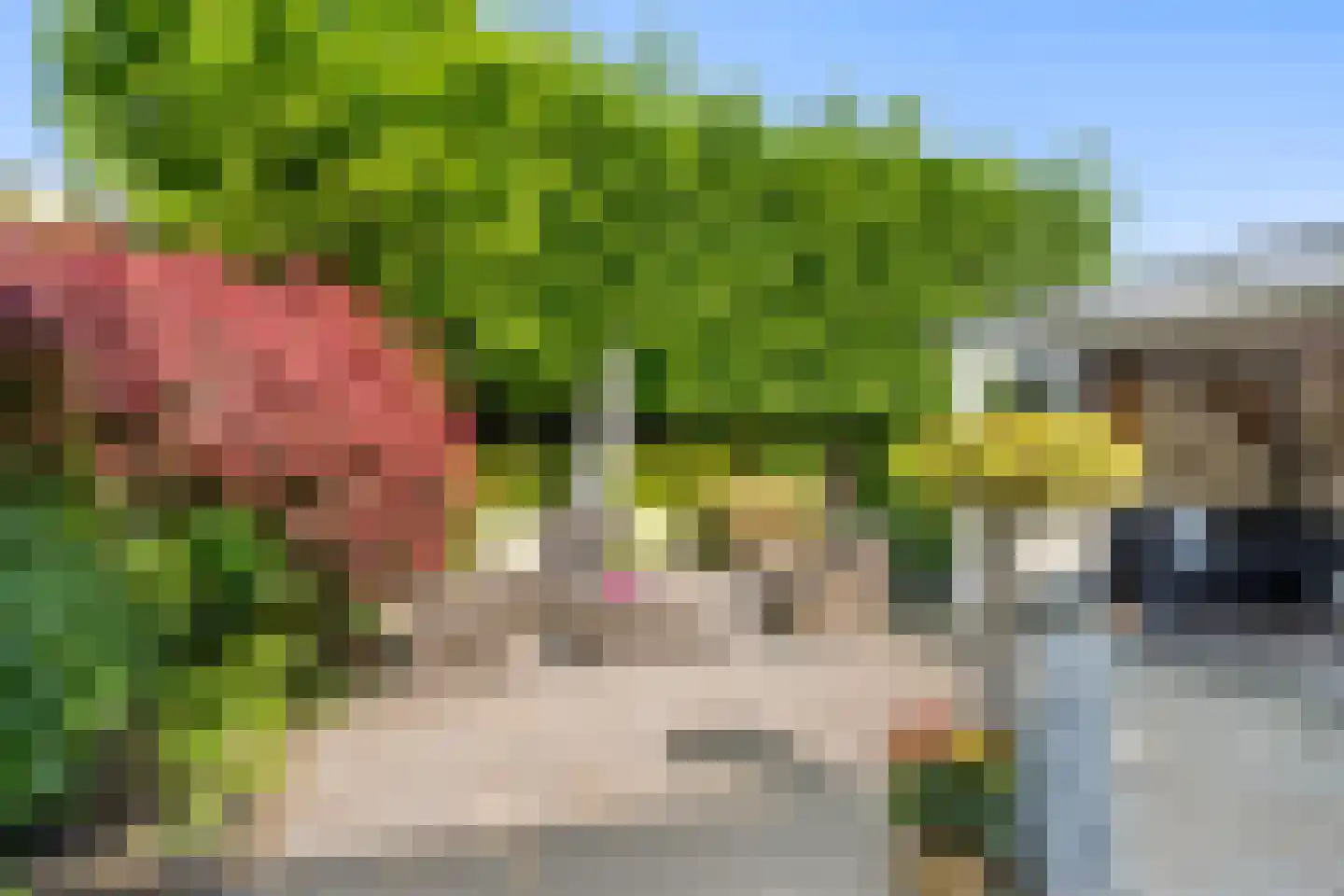 Grietjeshof 16 Bennekom thumbnail 34