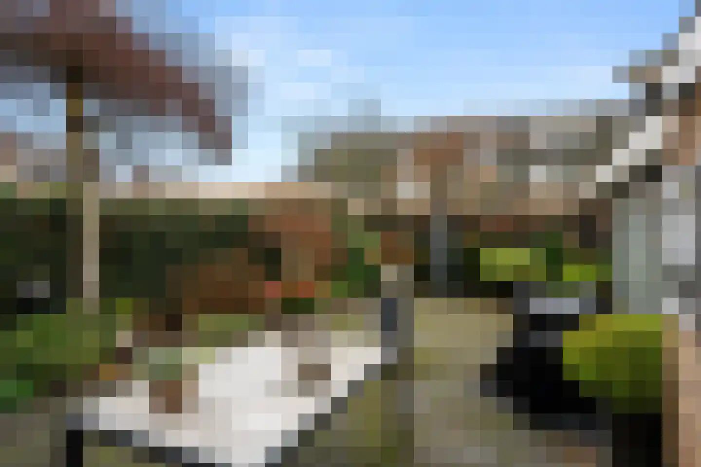 Grietjeshof 16 Bennekom thumbnail 41