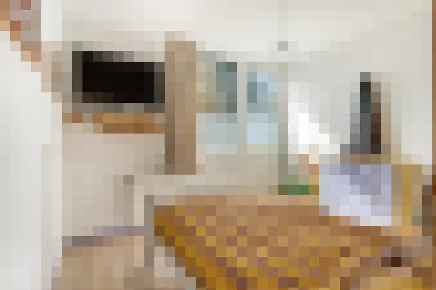 Grietjeshof 35 Bennekom thumbnail 20