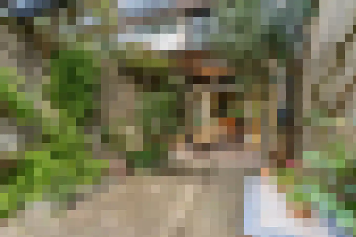 Grietjeshof 35 Bennekom thumbnail 32