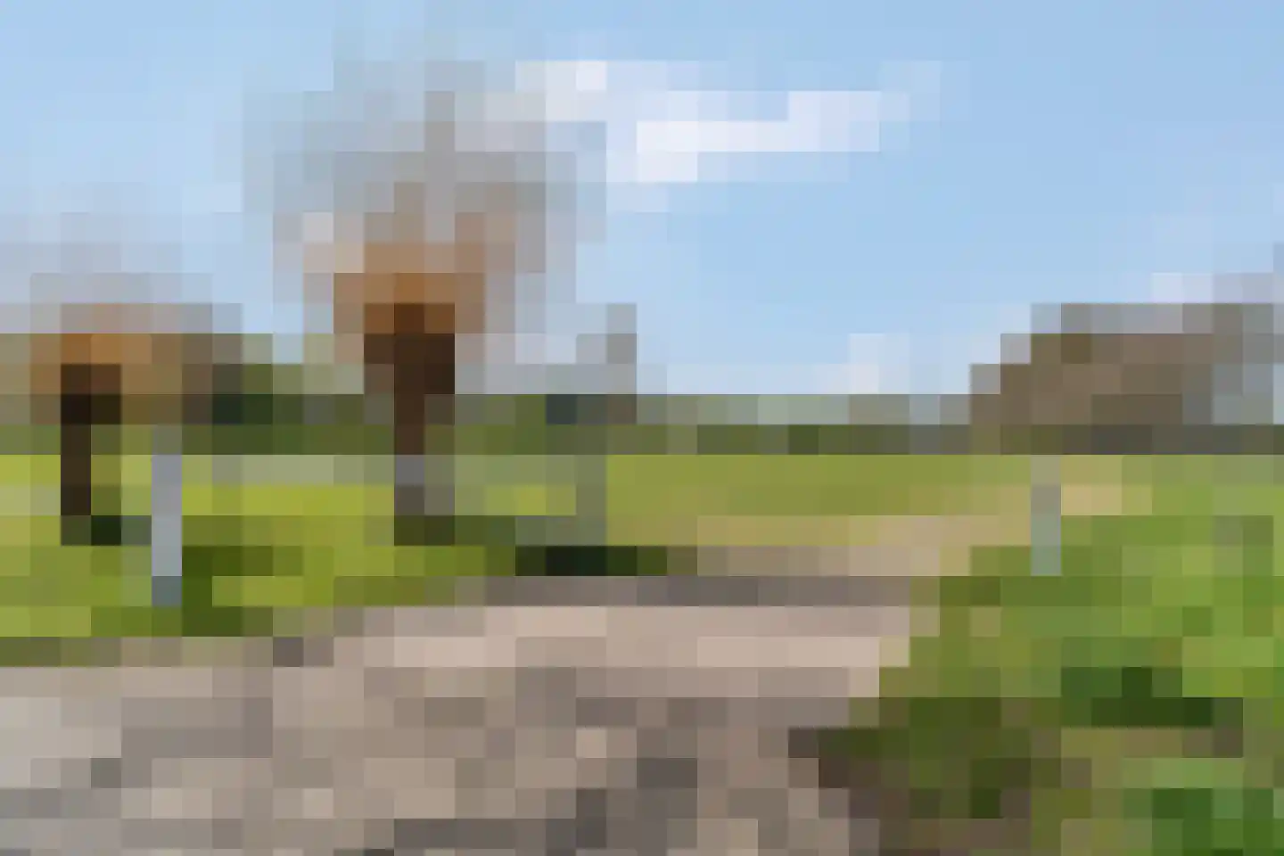 Grietjeshof 35 Bennekom thumbnail 48
