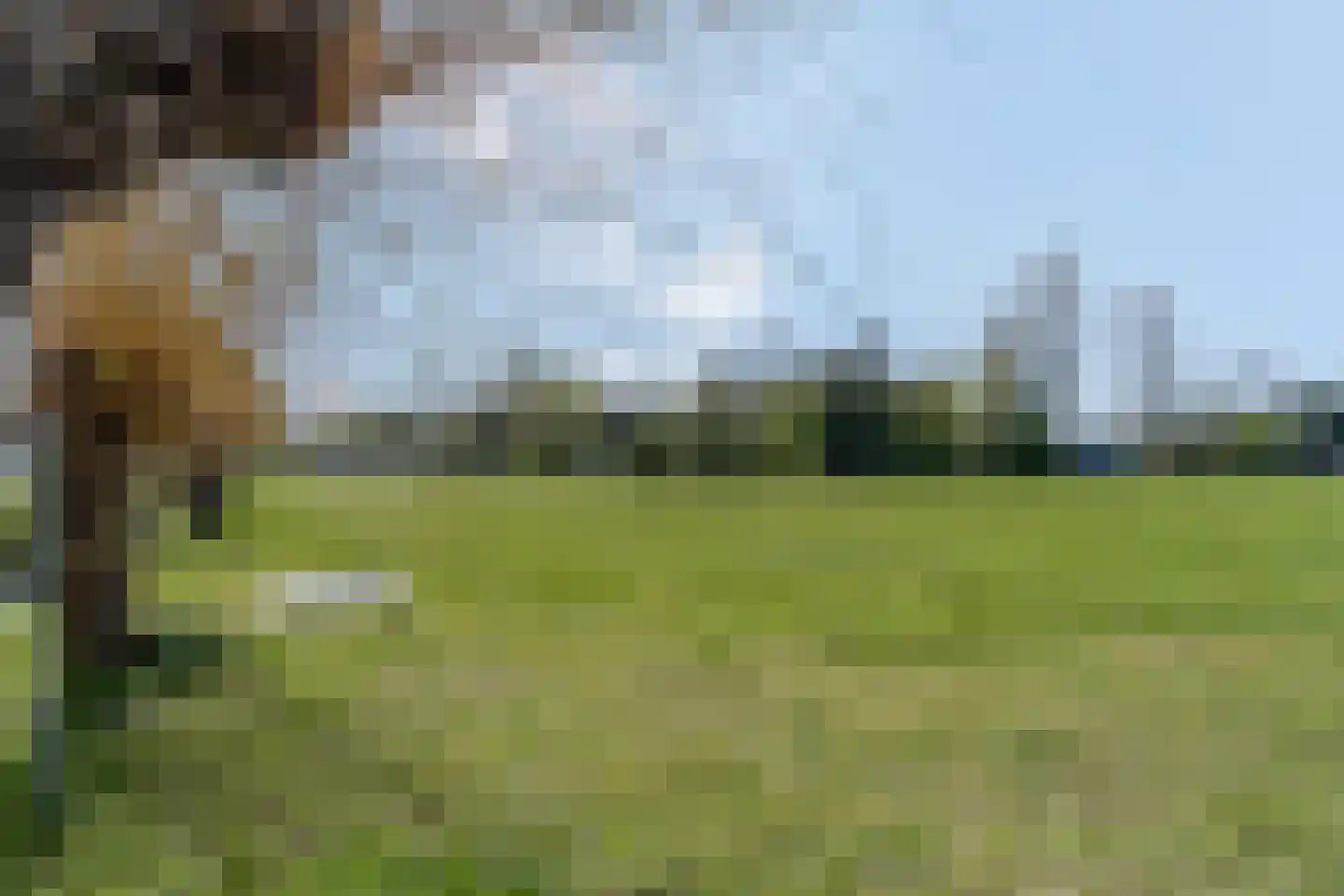 Grietjeshof 35 Bennekom thumbnail 49