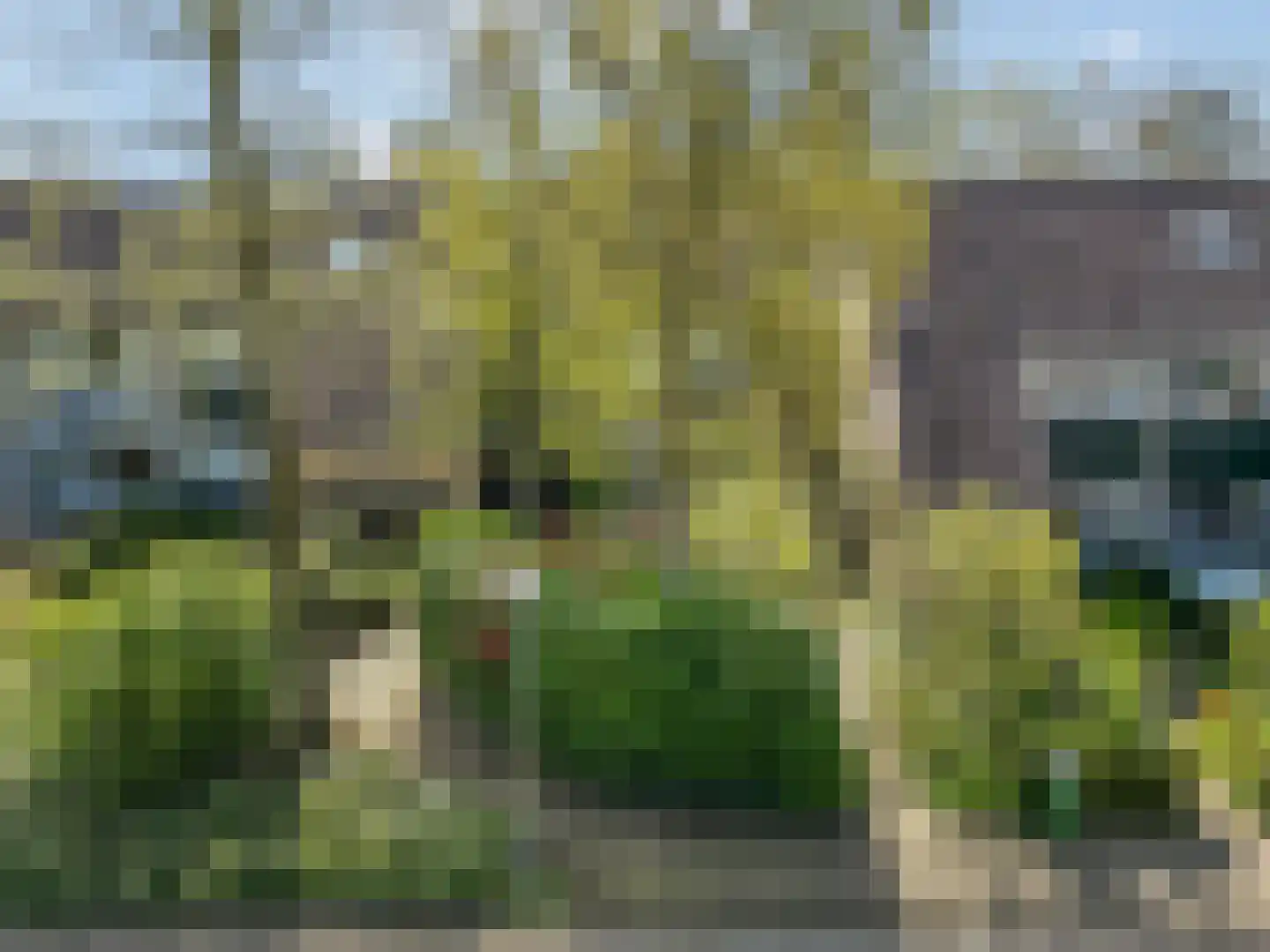 Grietjeshof 35 Bennekom thumbnail 52