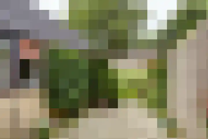 Grietjeshof 89 Bennekom thumbnail 11