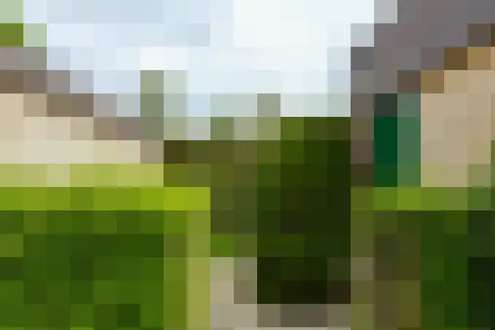 Grietjeshof 89 Bennekom thumbnail 12