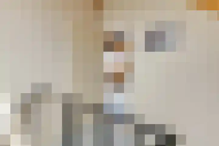 Grietjeshof 89 Bennekom thumbnail 33