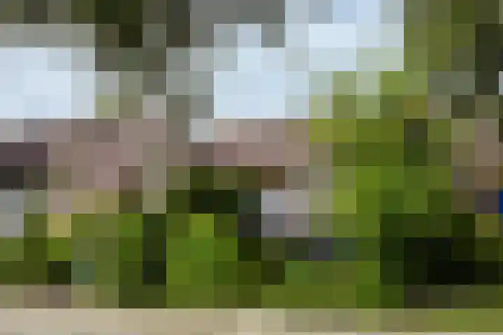 Grietjeshof 89 Bennekom thumbnail 6