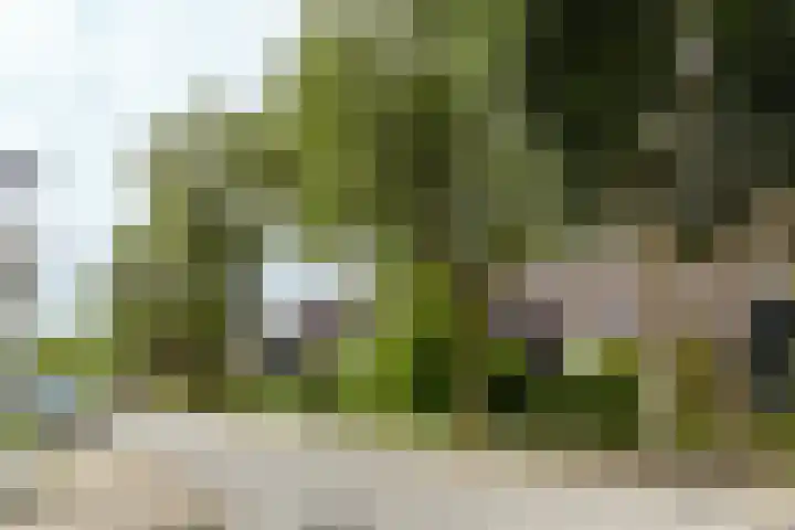 Grietjeshof 89 Bennekom thumbnail 7