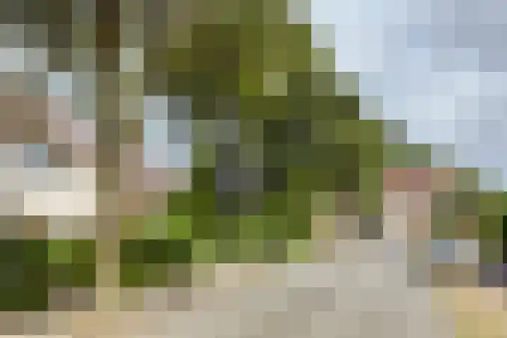 Grietjeshof 89 Bennekom thumbnail 8