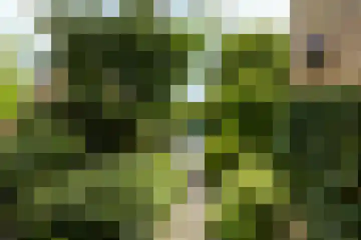 Grietjeshof 89 Bennekom thumbnail 9