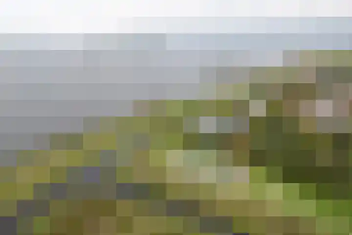 Grietman Roordastraat 9 Oosterzee thumbnail 33