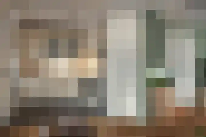 Grietman Roordastraat 9 Oosterzee thumbnail 8