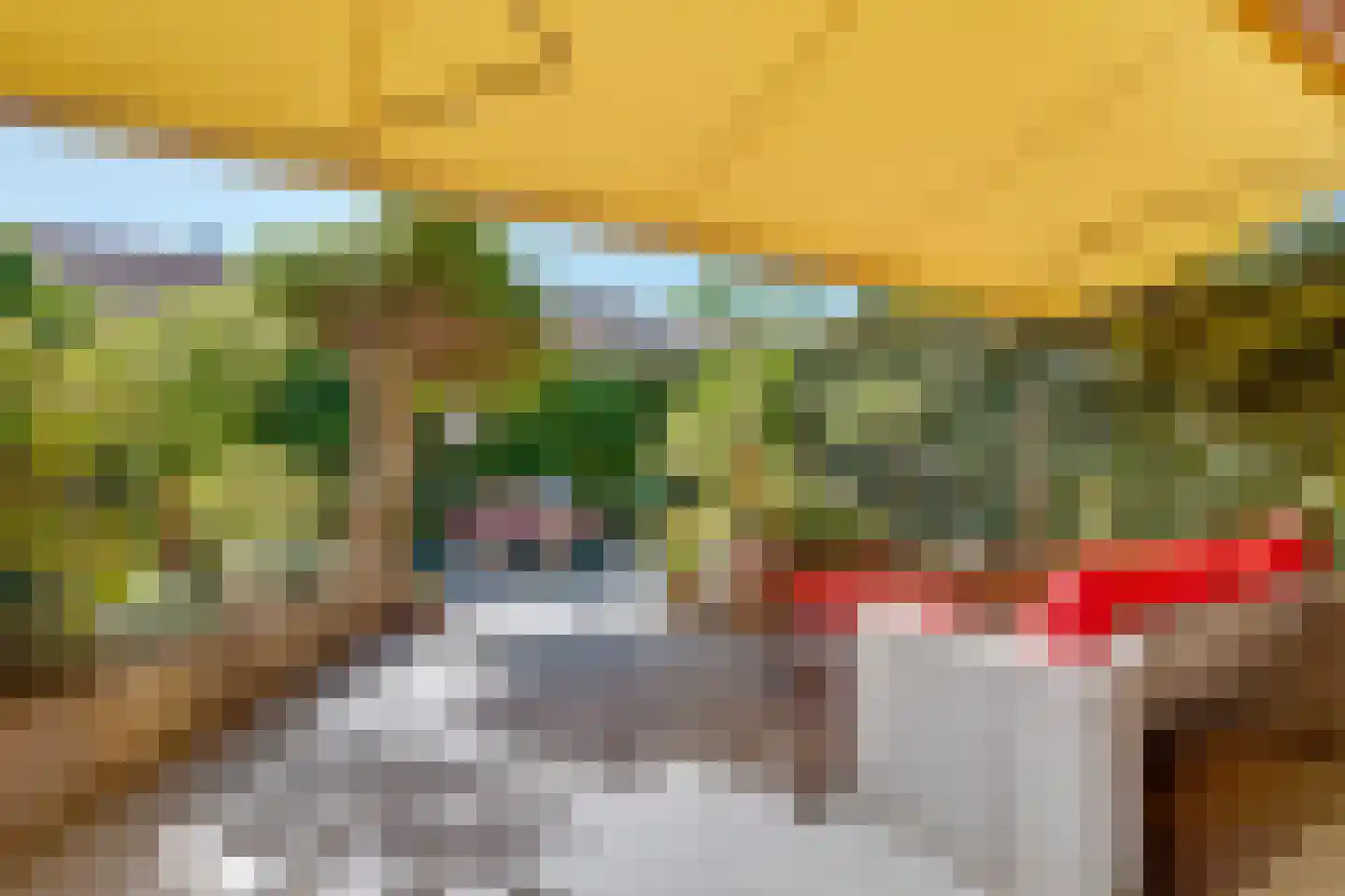 Grietmansraklaan 12 Utrecht thumbnail 43