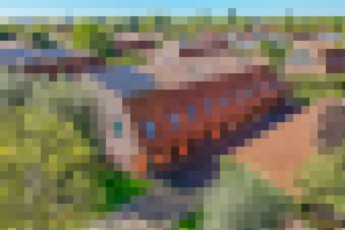 Grietmansraklaan 12 Utrecht thumbnail 47