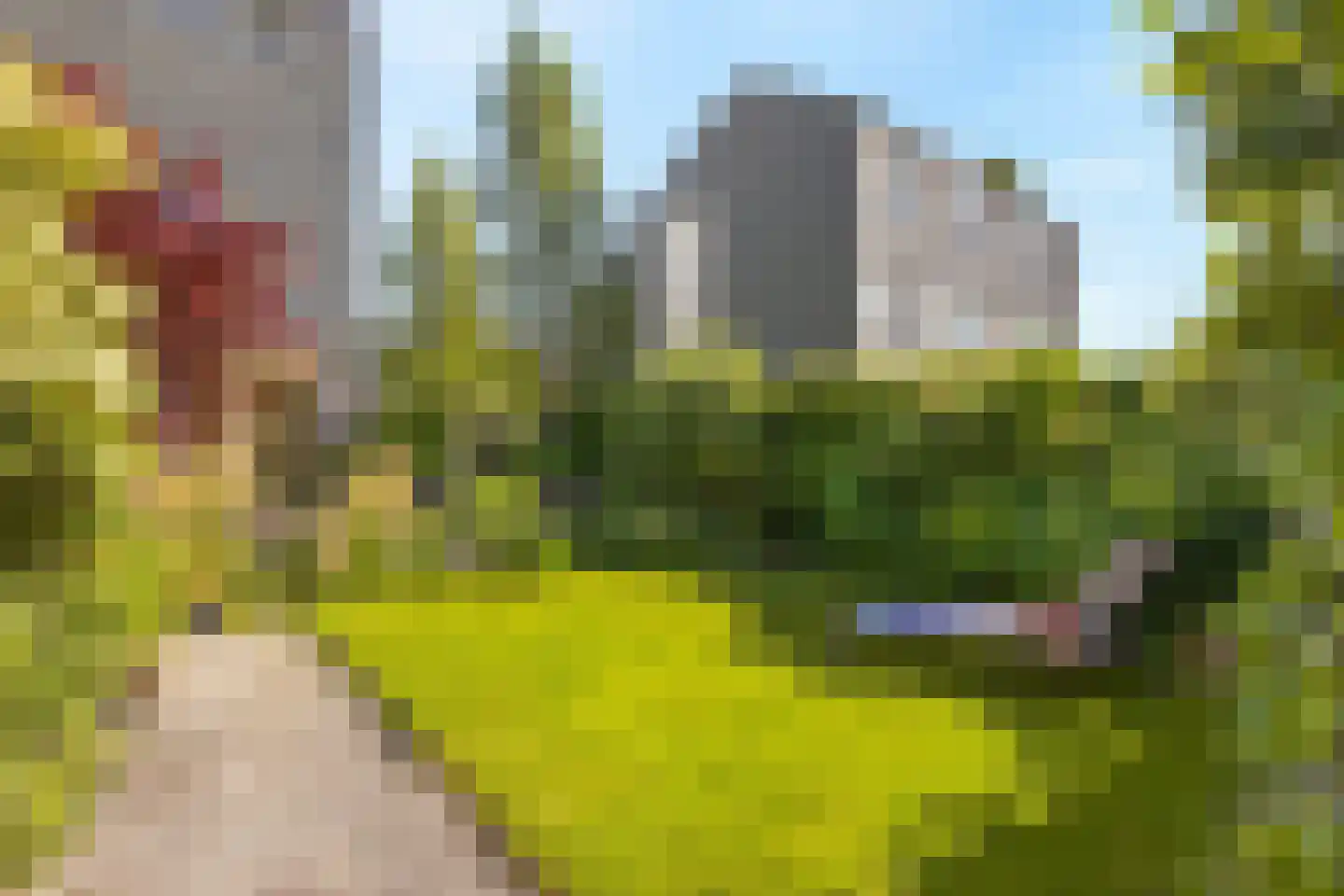 Grietmansraklaan 49 Utrecht thumbnail 24