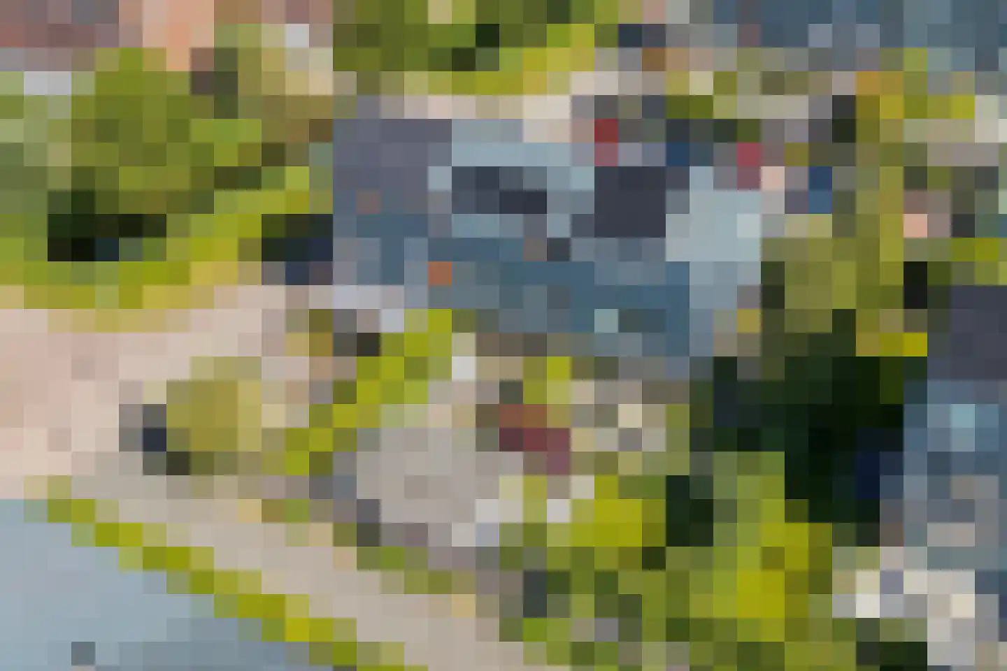 Grietmansraklaan 49 Utrecht thumbnail 44