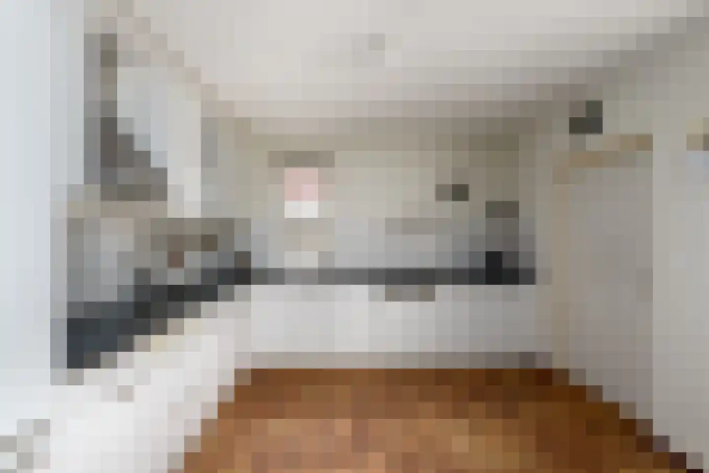 Grietmansstraat 25 Oldeberkoop thumbnail 11