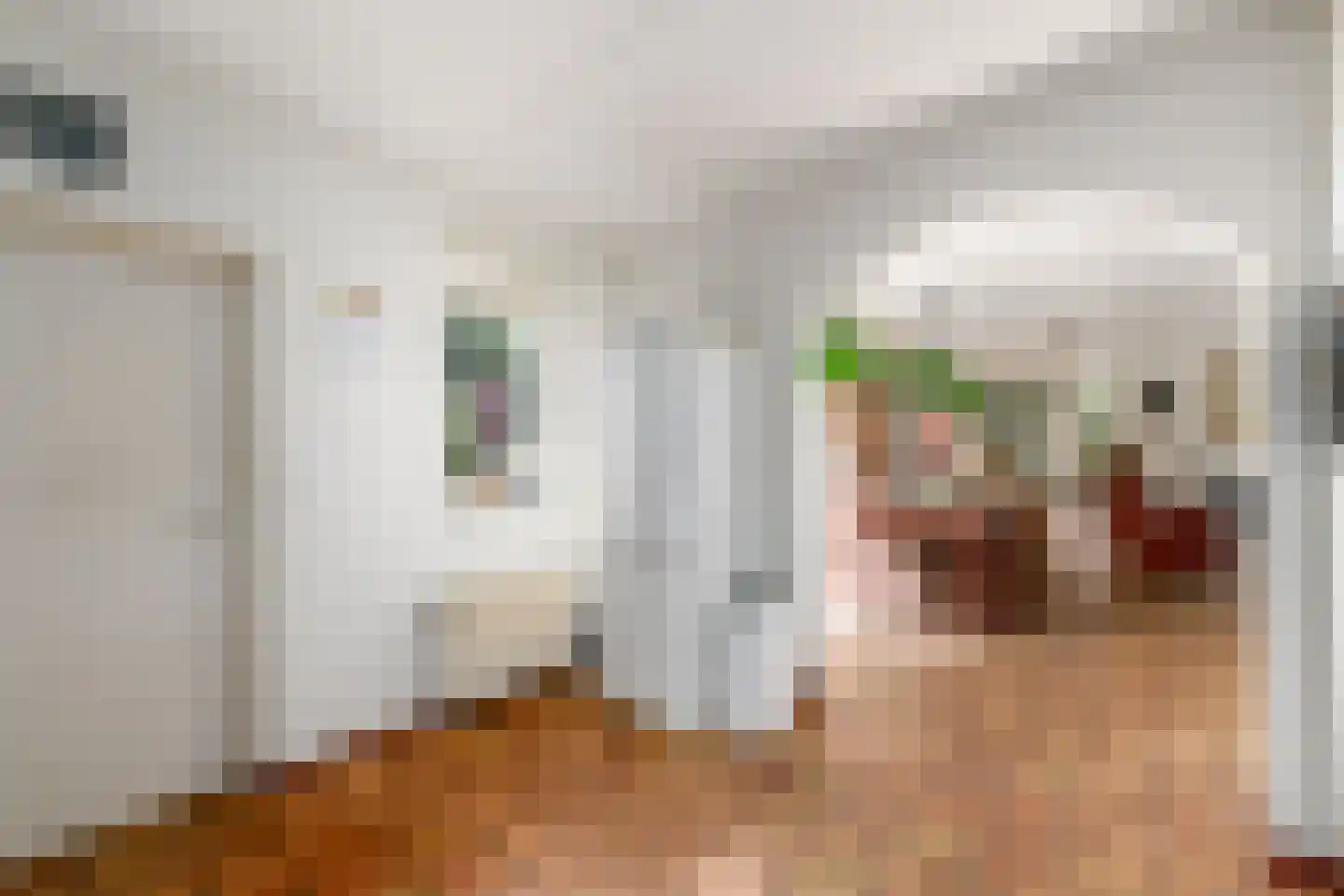 Grietmansstraat 25 Oldeberkoop thumbnail 14