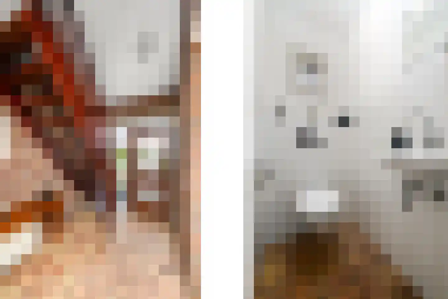 Grietmansstraat 25 Oldeberkoop thumbnail 19