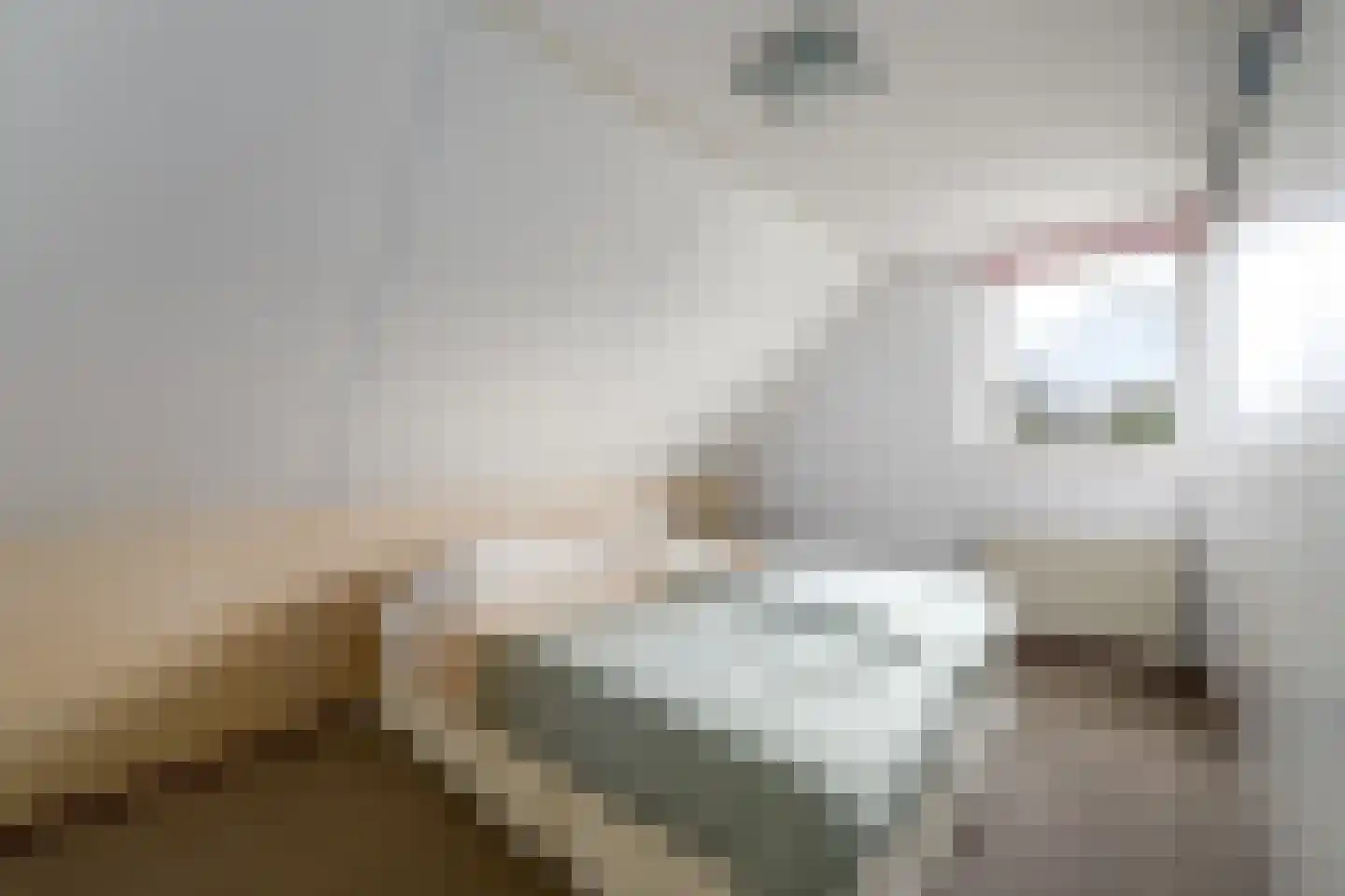 Grietmansstraat 25 Oldeberkoop thumbnail 20