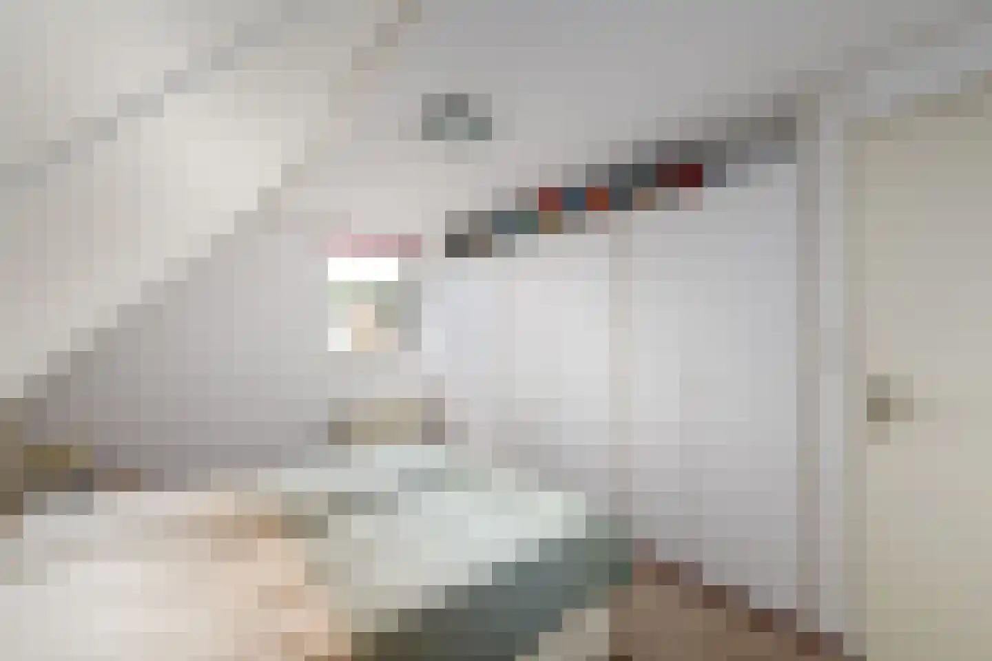 Grietmansstraat 25 Oldeberkoop thumbnail 21