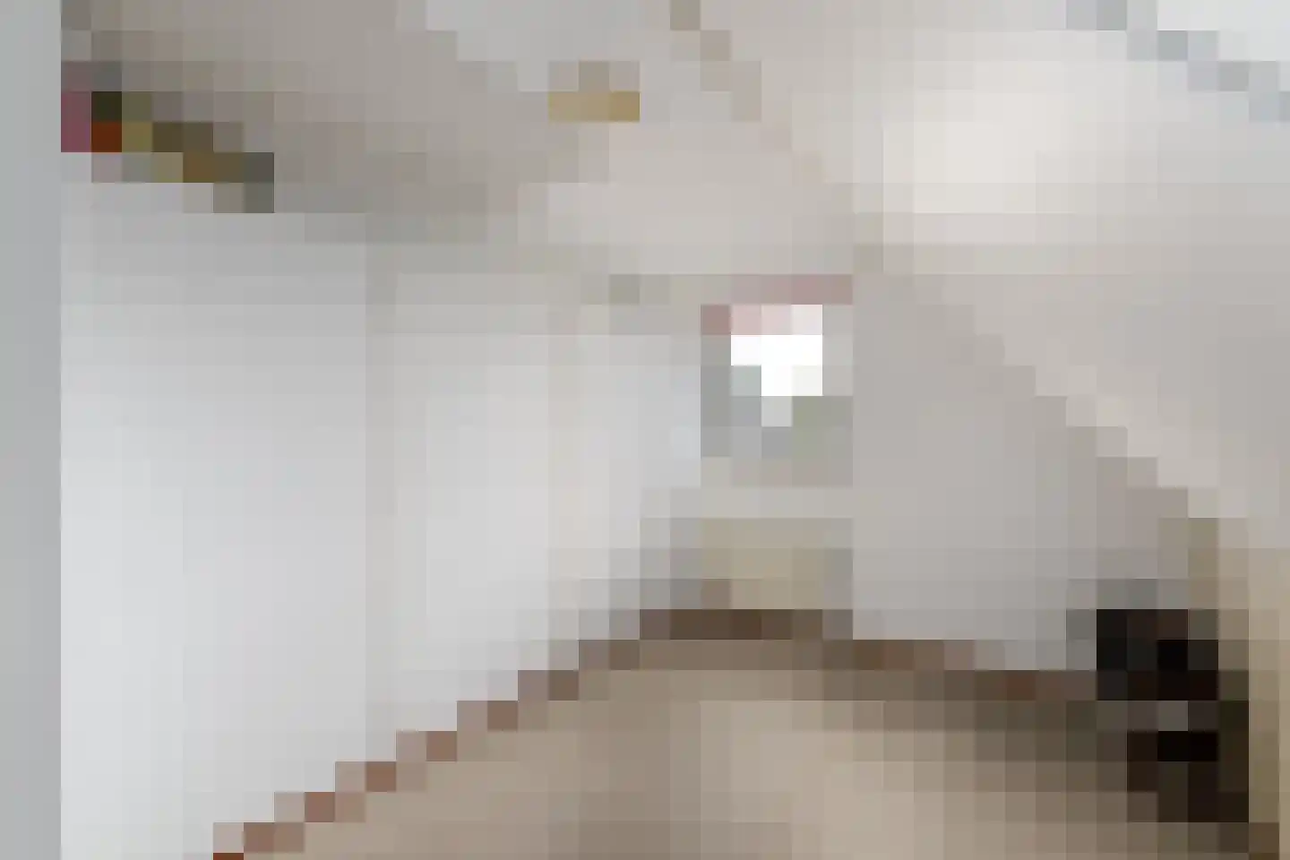 Grietmansstraat 25 Oldeberkoop thumbnail 23