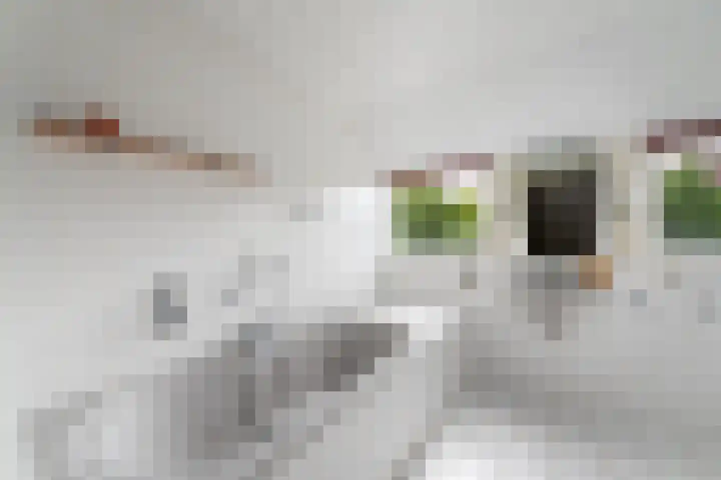 Grietmansstraat 25 Oldeberkoop thumbnail 25
