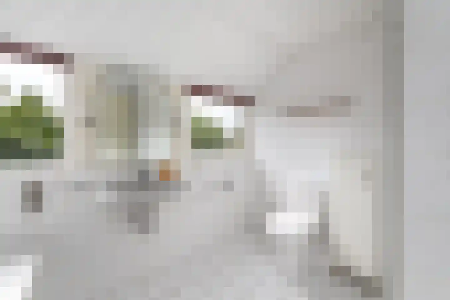 Grietmansstraat 25 Oldeberkoop thumbnail 26