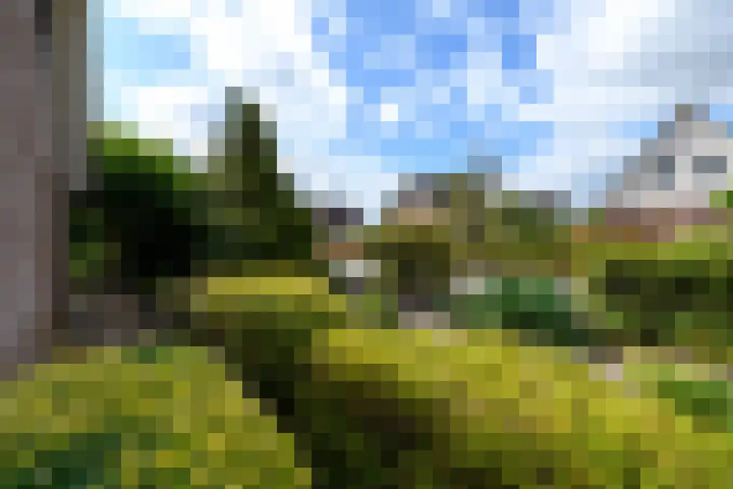 Grietmansstraat 25 Oldeberkoop thumbnail 45