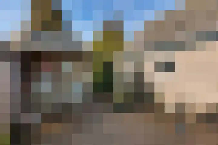 Grietmansstraat 51 St.-Annaparochie thumbnail 31