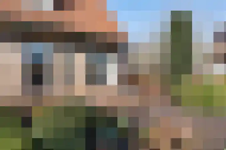 Grietmansstraat 51 St.-Annaparochie thumbnail 8