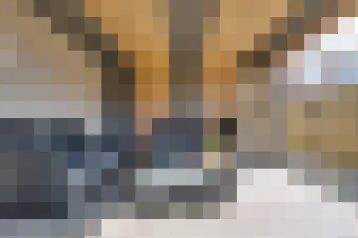 Grietmanstraat 5 Surhuisterveen thumbnail 37