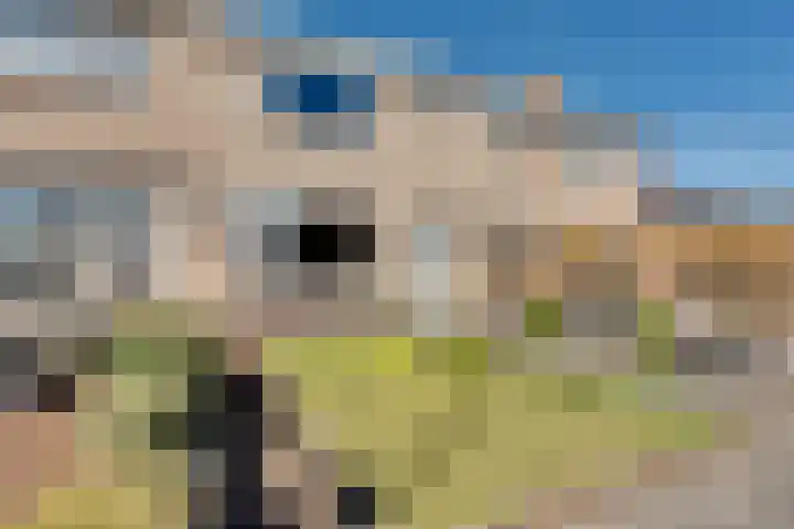 Grietmanstraat 5 Surhuisterveen thumbnail 6