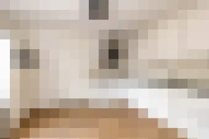 Grietmansweg 21 Marum thumbnail 18