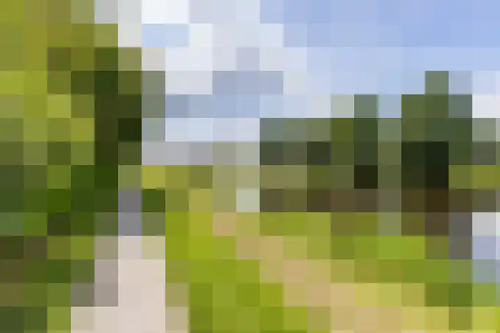 Grietmansweg 21 Marum thumbnail 27