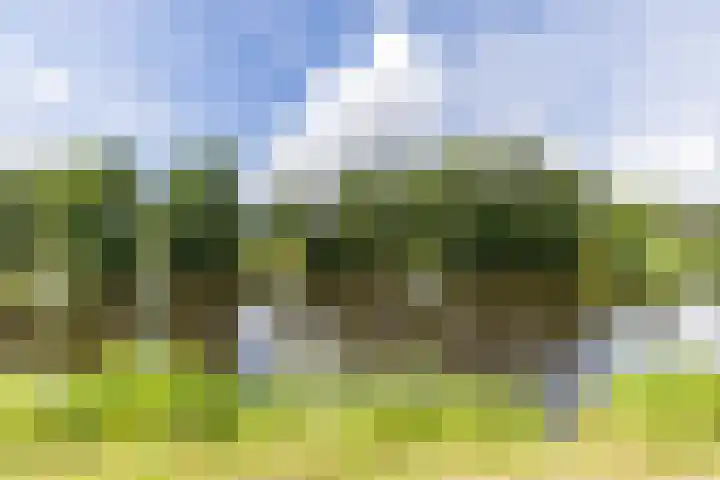 Grietmansweg 21 Marum thumbnail 28