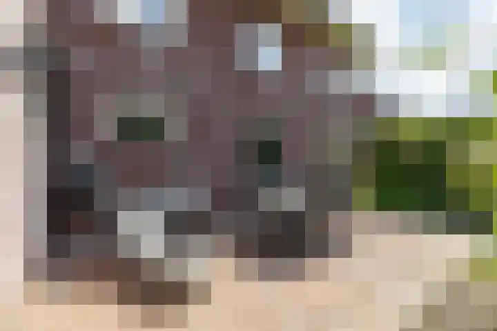 Grietmansweg 21 Marum thumbnail 29