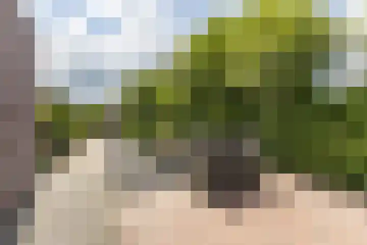 Grietmansweg 21 Marum thumbnail 30