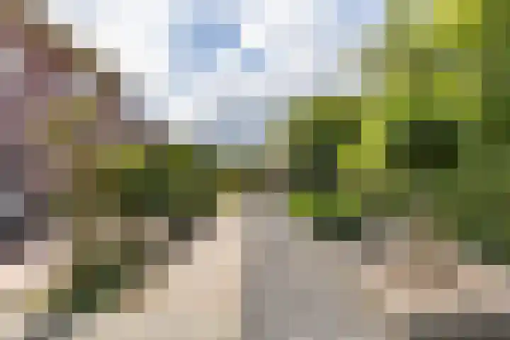 Grietmansweg 21 Marum thumbnail 31