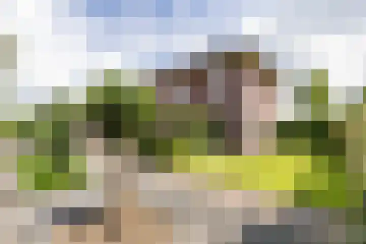 Grietmansweg 21 Marum thumbnail 34