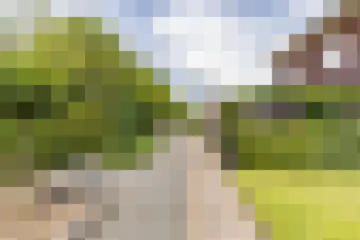 Grietmansweg 21 Marum thumbnail 35
