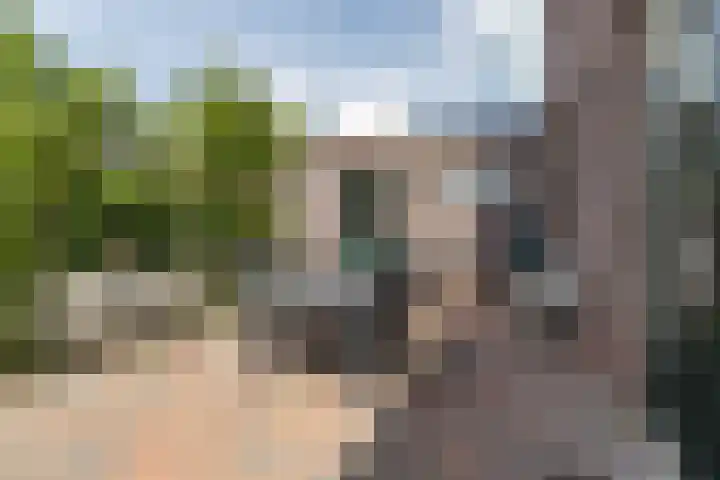 Grietmansweg 21 Marum thumbnail 36