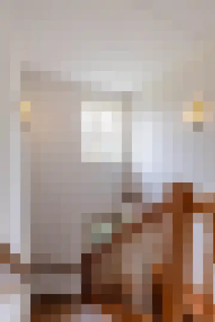 Grietmansweg 21 Marum thumbnail 38