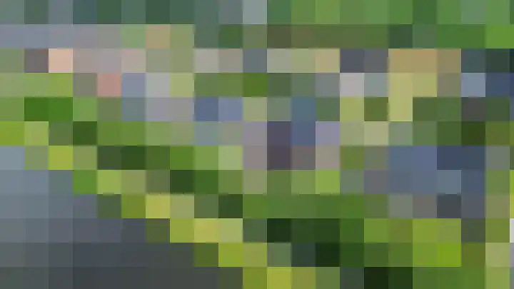 Grietmansweg 21 Marum thumbnail 56