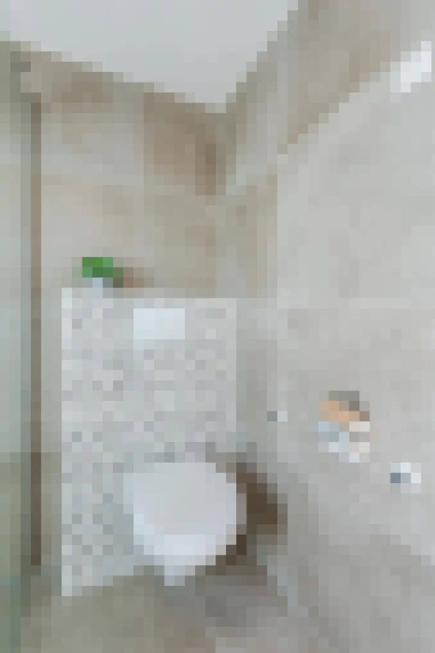 Grietpad 3 Almere thumbnail 21