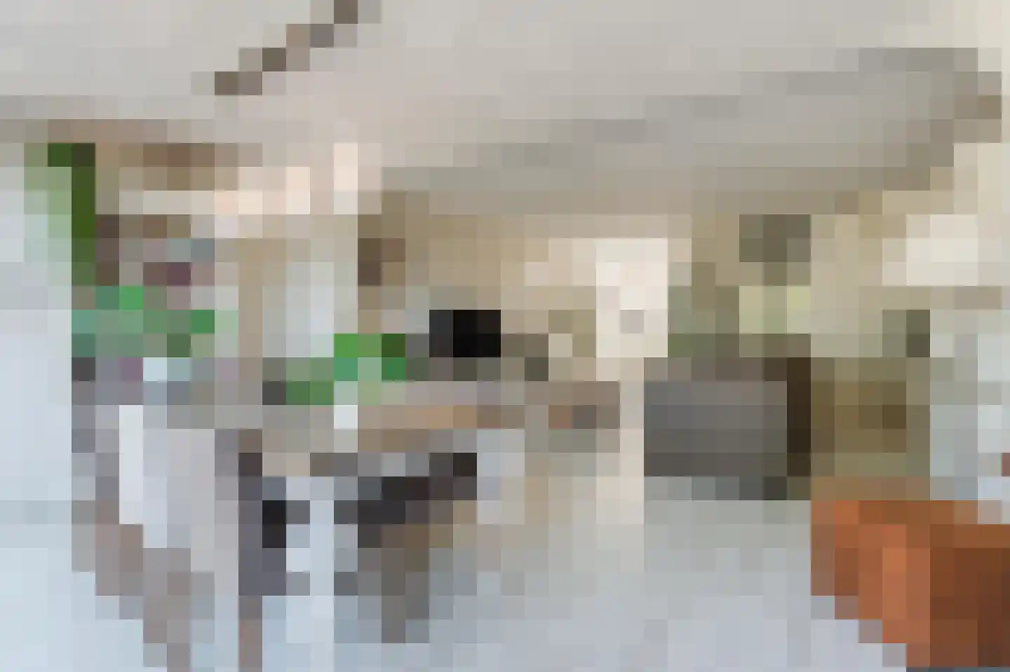 Grietpad 3 Almere thumbnail 4