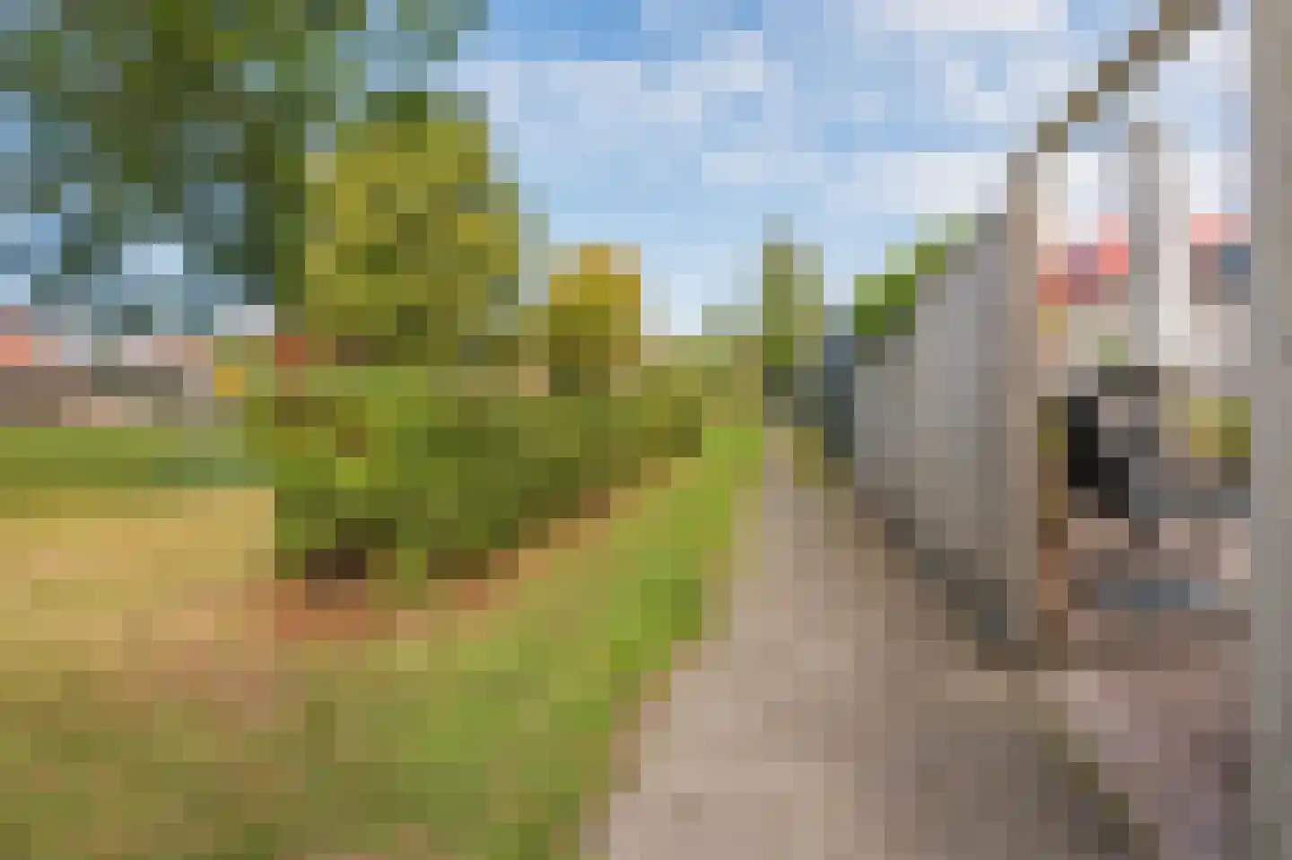 Grietpad 3 Almere thumbnail 47
