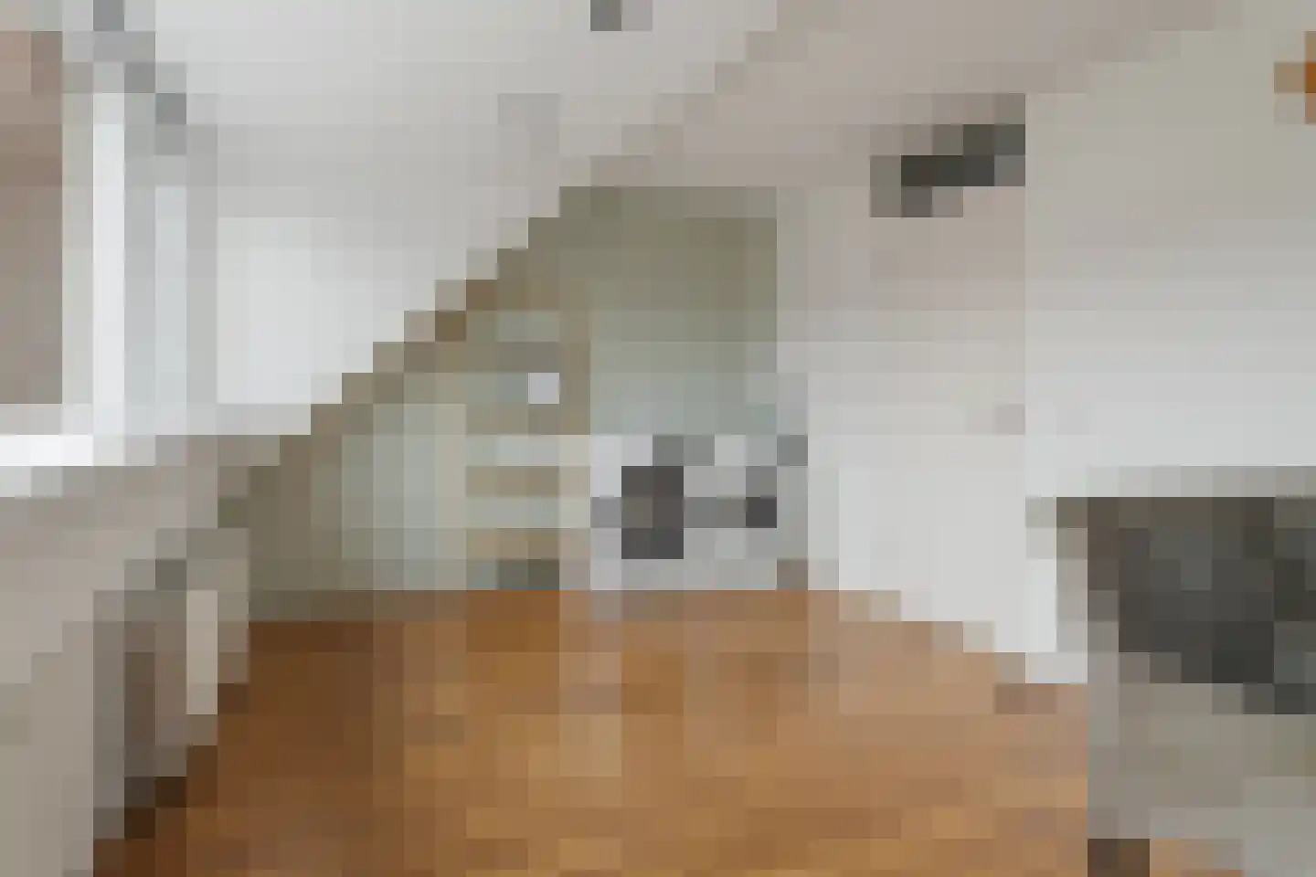 Grietpad 4 Almere thumbnail 19